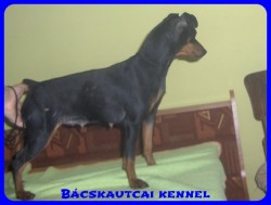 Bcskautcai Cally