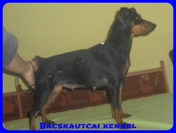 Bcskautcai Cally