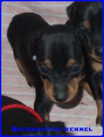 Denis