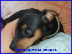 Denis