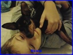 Denis