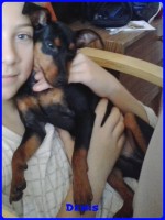 Denis