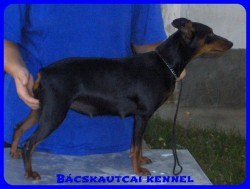 Bcskautcai Helga