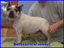 Bcskautcai Iza "Dagi"