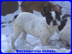 Bcskautcai Iza "Dagi"