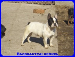 Bcskautcai Iza "Dagi"