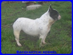 Bcskautcai Iza "Dagi"