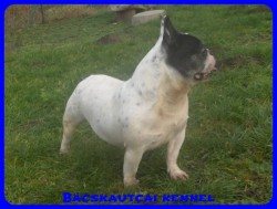 Bcskautcai Iza "Dagi"