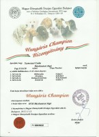 Bcskautcai Jg Hungria Champion