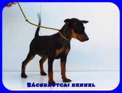 Bcskautcai Kora Chloe