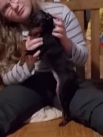 Bcskautcai Lda