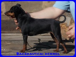 Bcskautcai Lda
