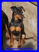 Bcskautcai Macho