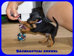 Bcskautcai Mia