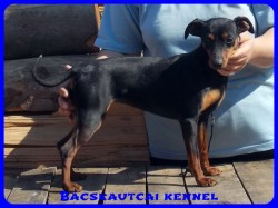 Bcskautcai Odett