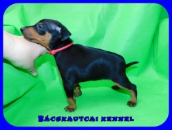 Bcskautcai Ophra Chloe