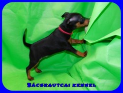 Bcskautcai Ophra Chloe