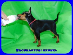 Bcskautcai Ophra Chloe