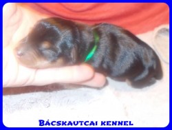 Bcskautcai Reserved of my heart
