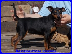 Bcskautcai Suzy