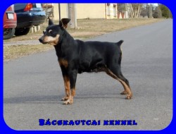 Homokhti Frge Cda kpei