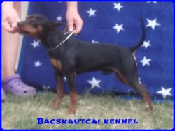 Bcskautcai Thomas