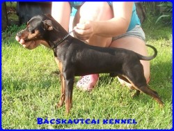 Bcskautcai Thomas