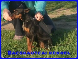 Bcskautcai Thomas