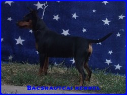Bcskautcai Tina