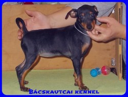 Bcskautcai Ulrika