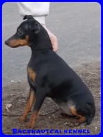 Bcskautcai Ulrika
