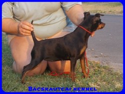 Bcskautcai Ulrika
