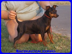 Bcskautcai Ulrika
