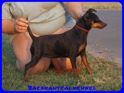 Bcskautcai Ulrika