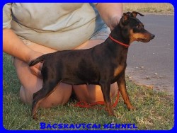 Bcskautcai Ulrika