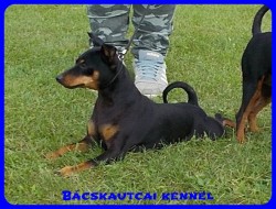 Bcskautcai Ulrika