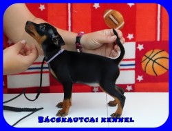 Bcskautcai Uta