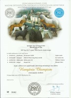 Bcskautcai Xiu Hungria Champion