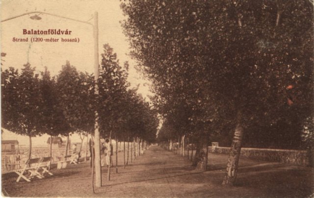 n_243.jpg