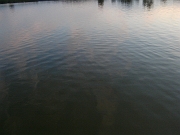BILD0784