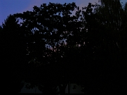 BILD0801
