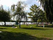 BILD0811