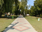BILD0818