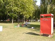 BILD0821