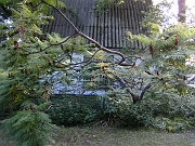 BILD0826
