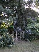 BILD0830