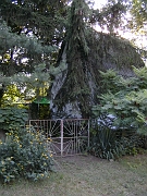 BILD0831