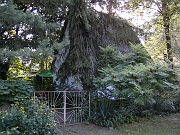 BILD0833