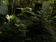 BILD0834