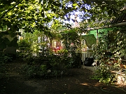 BILD0836